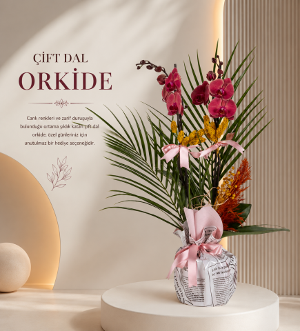 Şık Sunumlu Ateş Kırmızısı Orkide