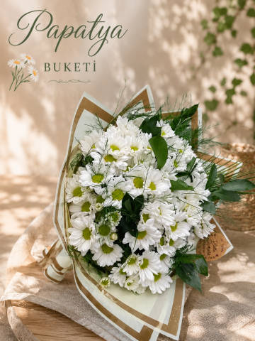 Beyaz Düş Papatyaları