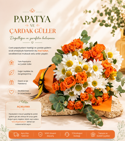 Modern Papatya ve Çardak Güller